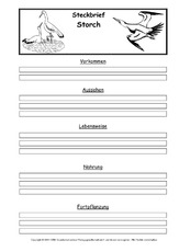 Steckbriefvorlage-Storch.pdf